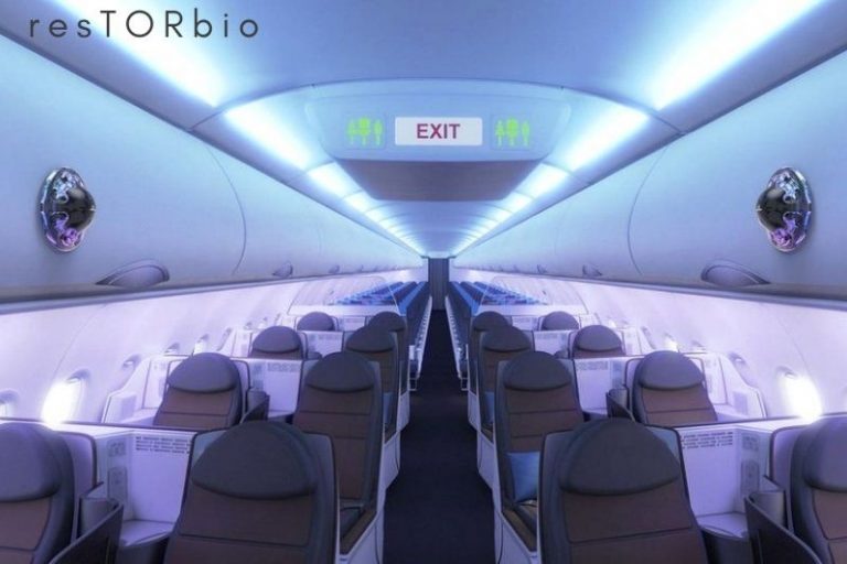 Can You Bring Shampoo On A Plane in 2024 What are the Guidelines