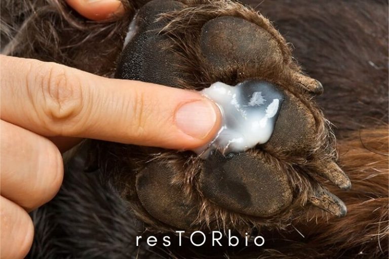 can-i-use-aveeno-lotion-on-my-dog-top-full-guide-2022